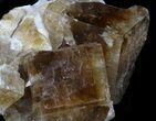 Cubic, Honey-Brown Fluorite - White Rock Quarry, Ohio #34305-1